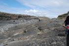 Ledge exposing the slumped Ross Slide of Gill (1954) and also described as a series of sedimentary slumped features by Strachen (2002).